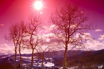Sun Shines over a Pink Winter Mountain