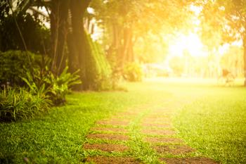 Sun Exposure and Type-two Diabetes. Can you reverse your disease ...