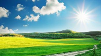 14 Sunny Songs to Spring You into Spring
