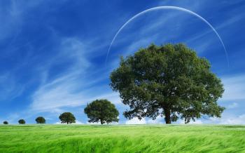 Sunny Breeze Wallpapers in jpg format for free download