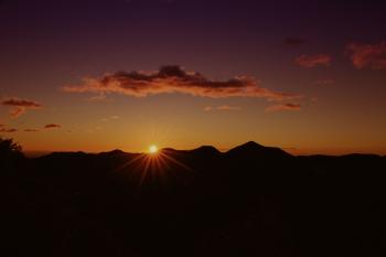 Sunrise Movement