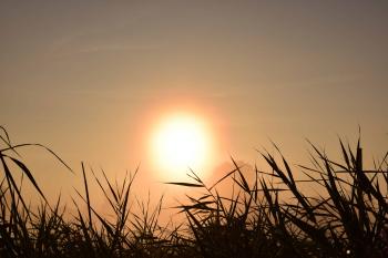 Sunrise free images, public domain images