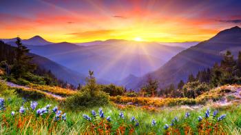 Nature & Landscape Beautiful Sun Rise wallpapers (Desktop, Phone ...
