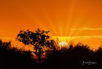 Sunrise and Sunset Photography - Brent Bremer Photography