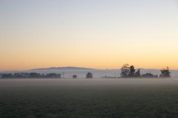 Sunrise and Fog, Oregon Farm