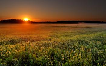Sunset from the wild field / 1920 x 1200 / Sunriseandsunset ...