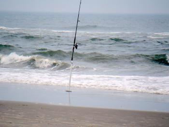 Surf Fishing Pole