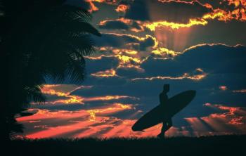 Surfer and surfboard at sunset