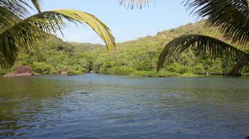 Sweet Lake Beach in Arambol - Video Reviews, Photos, History | HolidayIQ