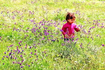 Sweet little child in a meadow with wild purple spring flowers