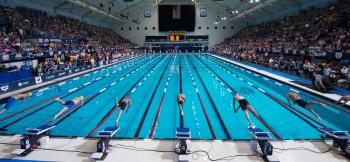Championship Season Swimming - Get Ready