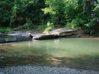 Millstream, Woodstock - See Swim