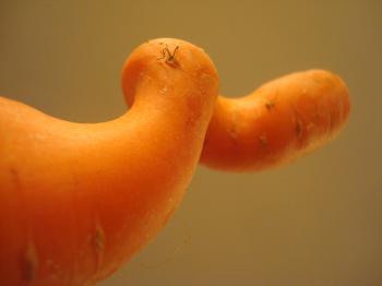 Swirling carrot
