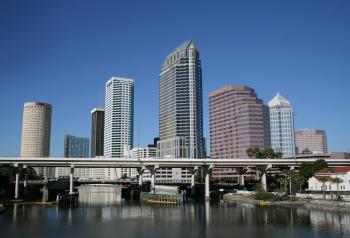 Tampa City View