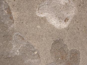 Free Tan Concrete Textures Texture - L+T