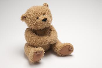 The TSA Just Made This Giant Teddy Bear Homeless | Time