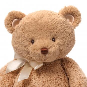 Amazon.com : Baby GUND My First Teddy Bear Stuffed Animal Plush, Tan ...