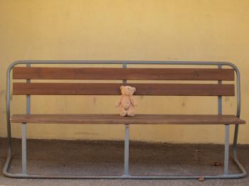 Teddy Bear sitting