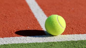 Advantage green in the tennis ball colour challenge | News | The Times