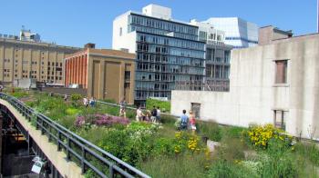 Guide to the High Line in NYC Including Events and Artwork