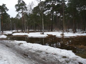 Spring Snow Melt Safety Tips for York Region Residents