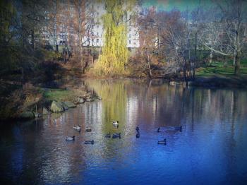 The Pond | Bike Rental Central Park
