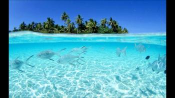 Thrive Shallow Sea Theme - YouTube
