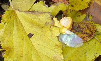 A fairy photo shoot | Three Girl Pile-Up