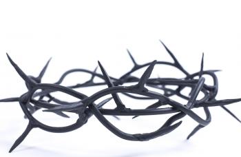 Crown of Thorns - Narrow Gate Trading Co.
