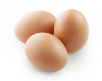Science Experiment Acids - Bouncing Egg - Kids' Blog Kids' Blog
