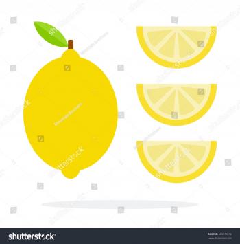 Lemon Three Slices Lemon Vertically Vector Stock Vector HD (Royalty ...