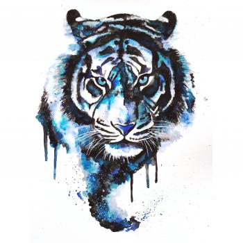 Tigres | Art, Drawings & illustrations | Pinterest | Blue tigers ...
