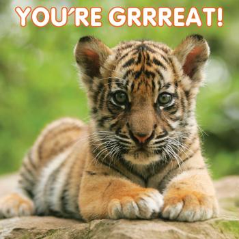 3-D Collection - Tiger Cub - House of Cards Award Winning Cards