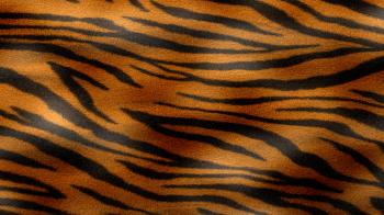 Orange Tiger Texture by watchmebop.deviantart.com on @DeviantArt ...