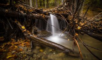 Time Lapse Photography of Falls Surrounded by Trees