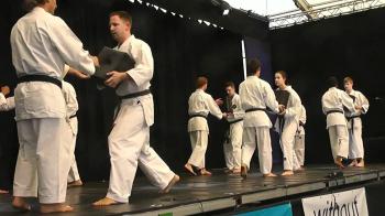 Shukokai Karate Wallpaper | Sport | Pinterest