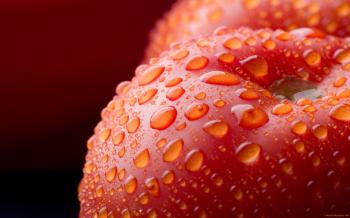 Tomatoes Water Drops Macro wallpapers | Freshwallpapers