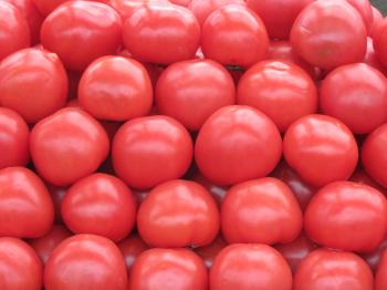 Tomatoes at the market