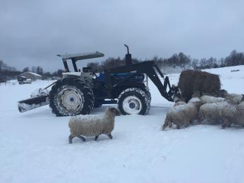 Keeping Your Tractor Running! (Part 3) | Cornell Small Farms Program