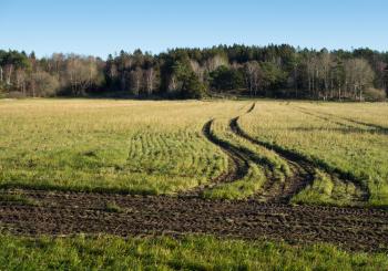Tractor tracks in a field in Gåseberg