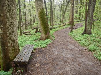 Trail Map