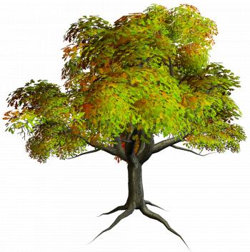 Autumn PNG Tree Clipart | Gallery Yopriceville - High-Quality ...