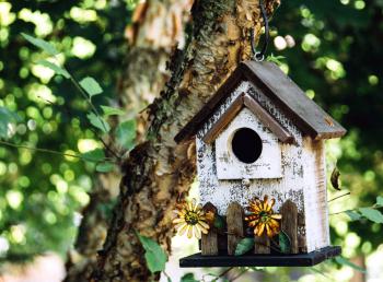 Free picture: garden, leaves, bird, house, branch, tree