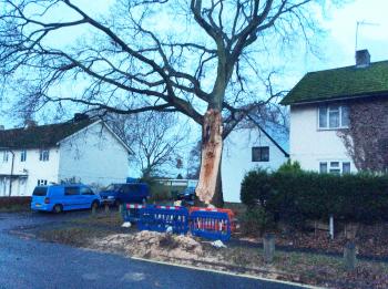 Borrowdale Road blocked after tree falls following Storm Eleanor ...