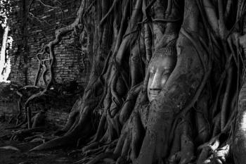 Tree Root With Deity Figurine