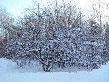 Opening the door, walking outside | A 365 day blogging promise to ...