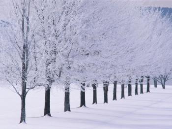 I love the first snow <3 | Meggie Leigh Pre | Pinterest | Snow ...