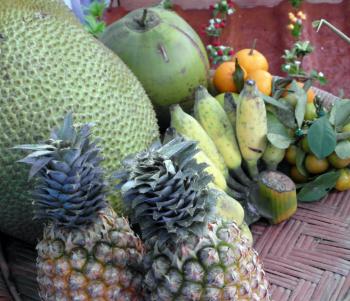 Tropical Fruits and Vegetables