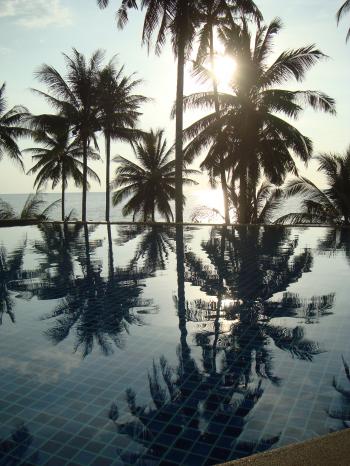 Tropical Ocean View Swimming Pool