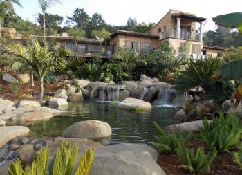 Tropical Water Garden | Garcia Rock And Water Design Blog